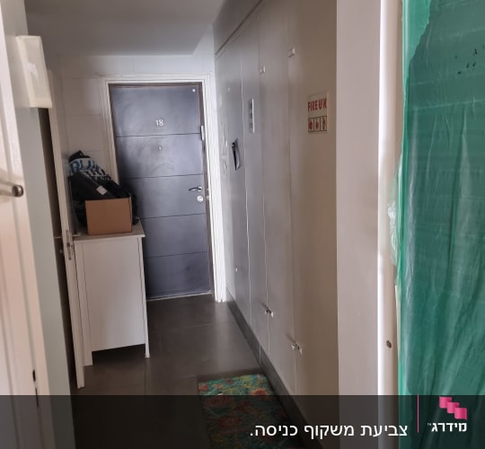 מסדרון עם דלת, שטיח ומטלית, קיר מכוסה בניילון ירוק.